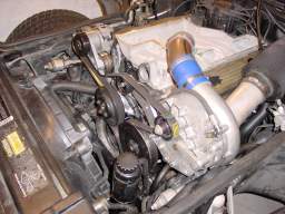DSC05350.JPG